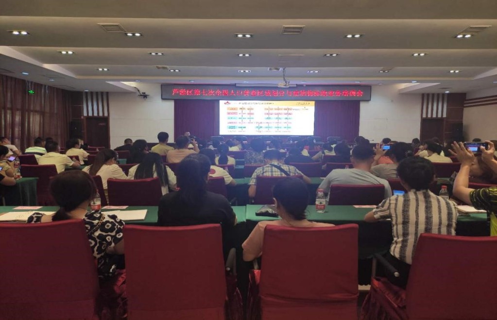 芦淞区召开第七次全国人口普查区域划分与建筑物标绘业务培训会
