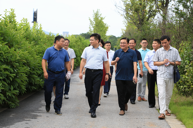 王卫安副市长赴霞湾港开展巡河工作(图)