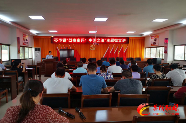枣市镇开展“战疫密码：中国之治”和“全国两会精神”主题微宣讲系列活动