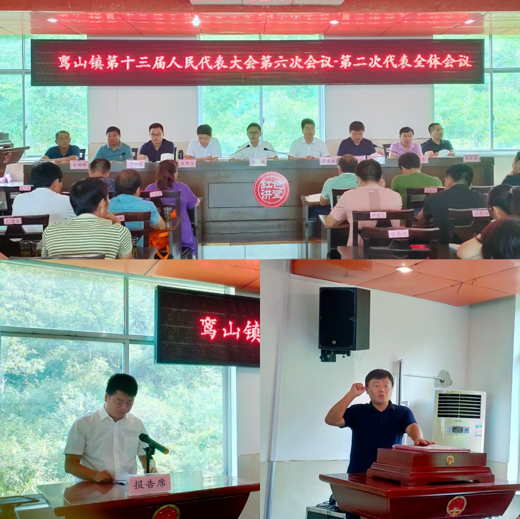 鸾山镇召开第十三届人民代表大会第六次会议