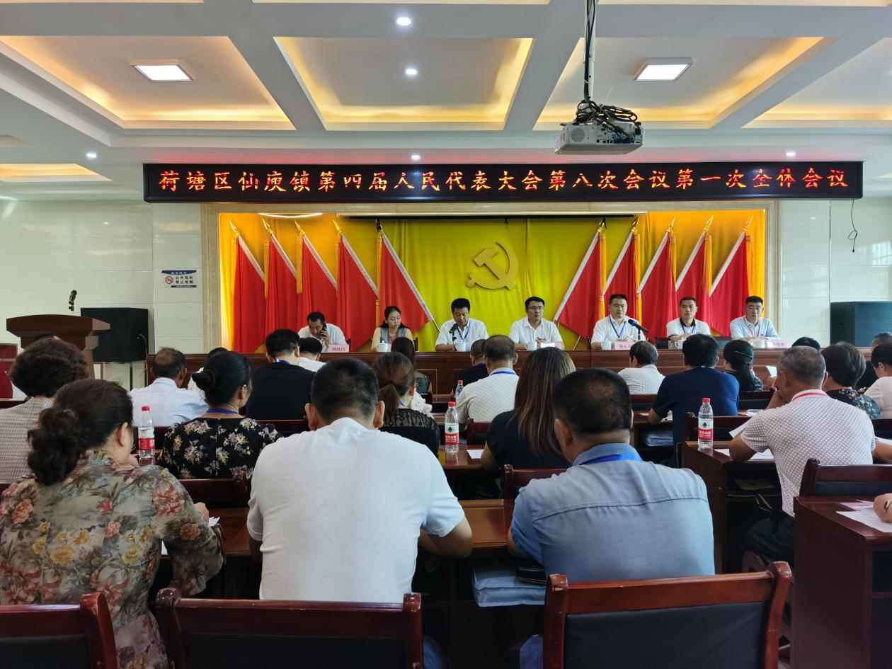 仙庾镇召开第四届人民代表大会第八次会议