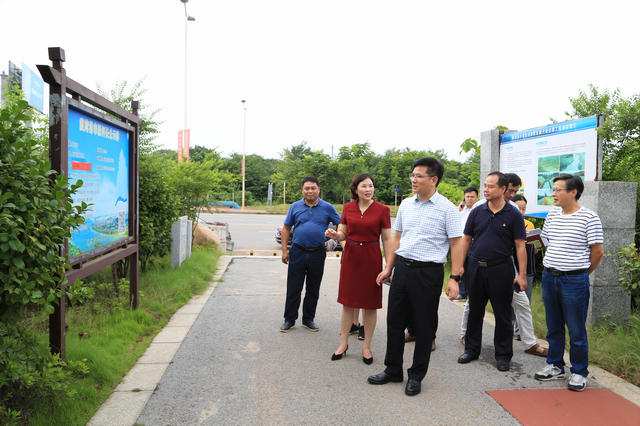 王卫安副市长赴霞湾港开展巡河工作(图)