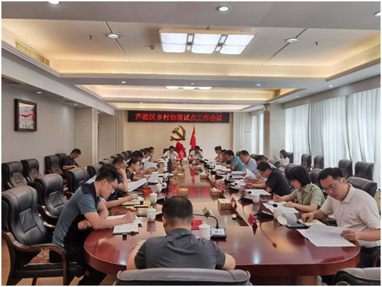 芦淞区:召开乡村治理试点工作会议
