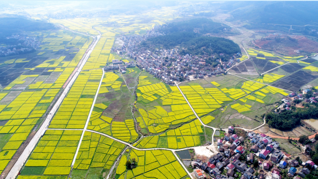 【巩固脱贫攻坚成果】最美的风景是贫困户的笑容 ——茶陵县决战决胜脱贫攻坚系列报道·面貌篇