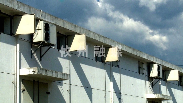 攸县:做好夏粮收购 保障粮食安全