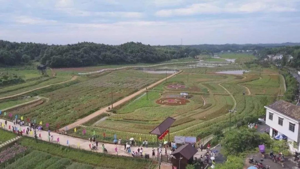 【贯彻落实全会精神】雷打石镇、区农业农村局强化担当抓落实，凝心聚力谋发展