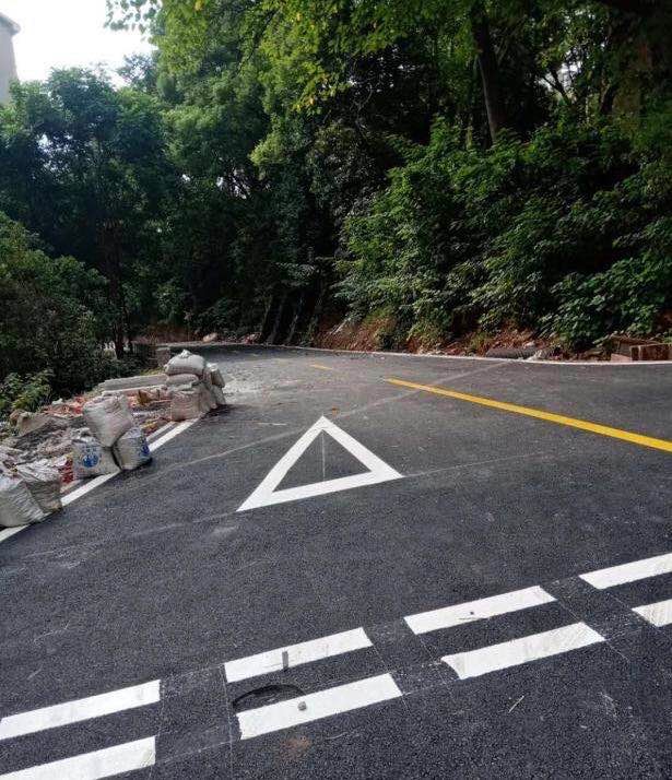 芦淞区又有3条小街小巷提质改造竣工通车
