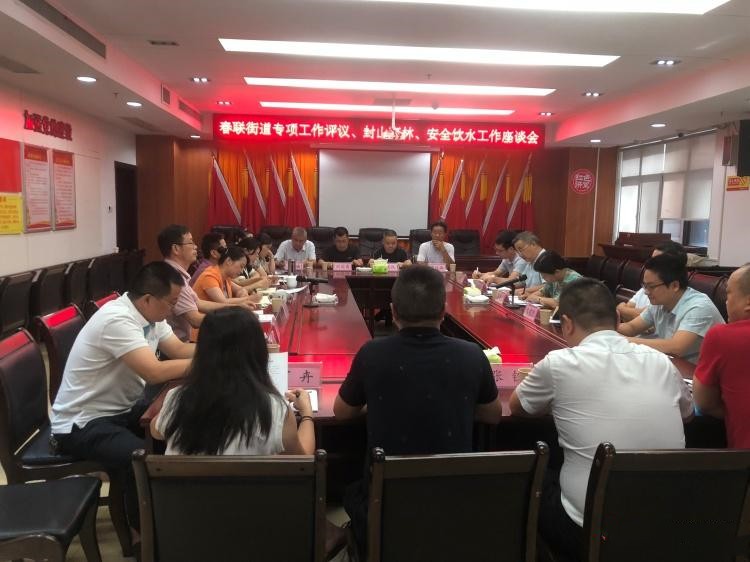 县领导到春联街道开展专项工作评议、封山育林、安全饮水工作座谈会