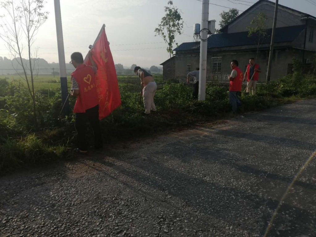 炎炎烈日 为树木“降温解渴”