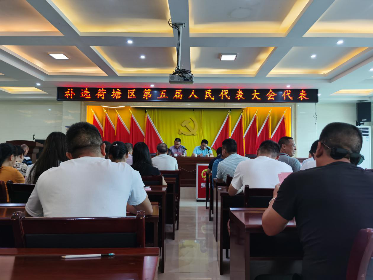 仙庾镇圆满完成区镇人大代表大会代表补选工作