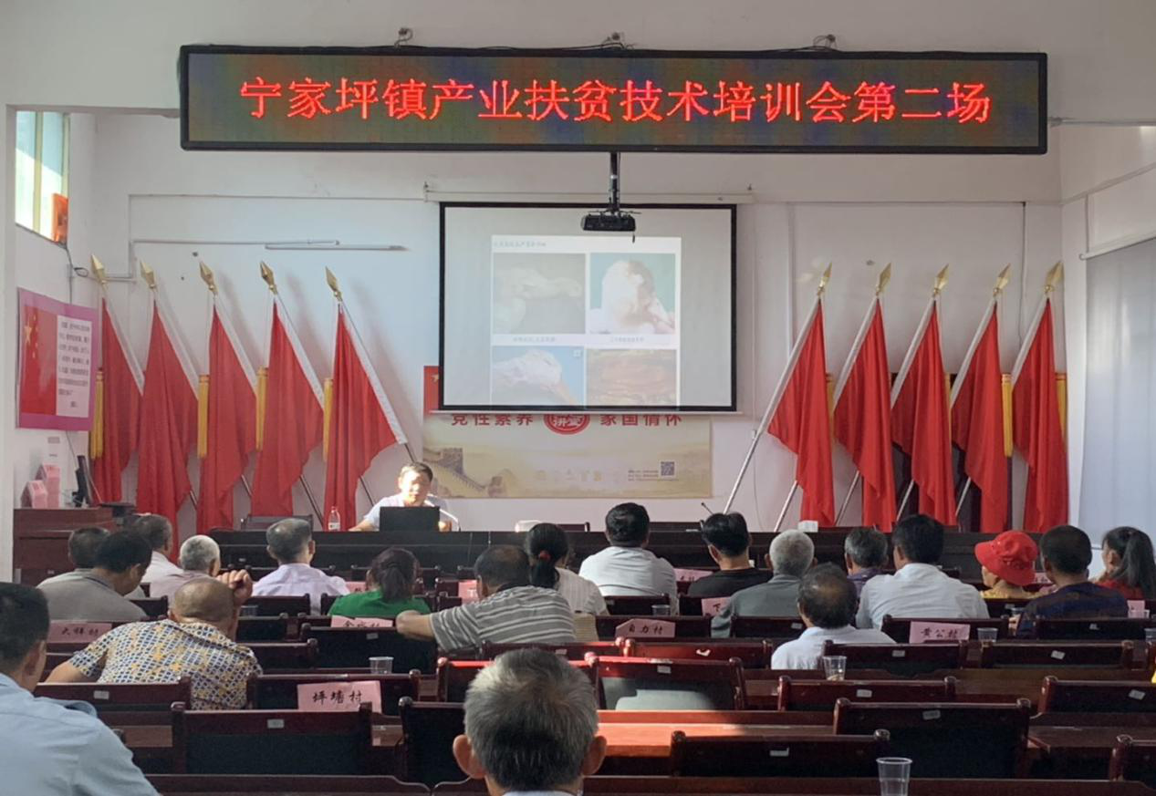 牵住“需求”这一牛鼻子 推动产业扶贫