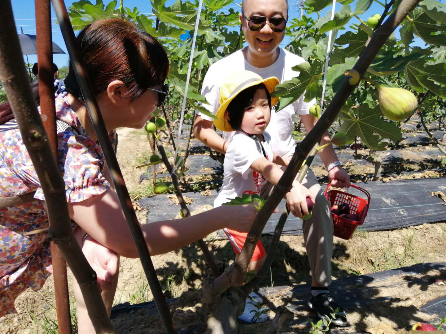 引人流到田间消费 河长制助力乡村旺