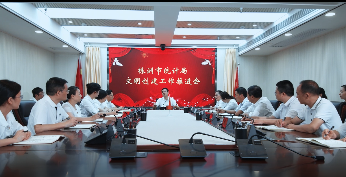 唯美宣传片演奏株洲统计文明乐章