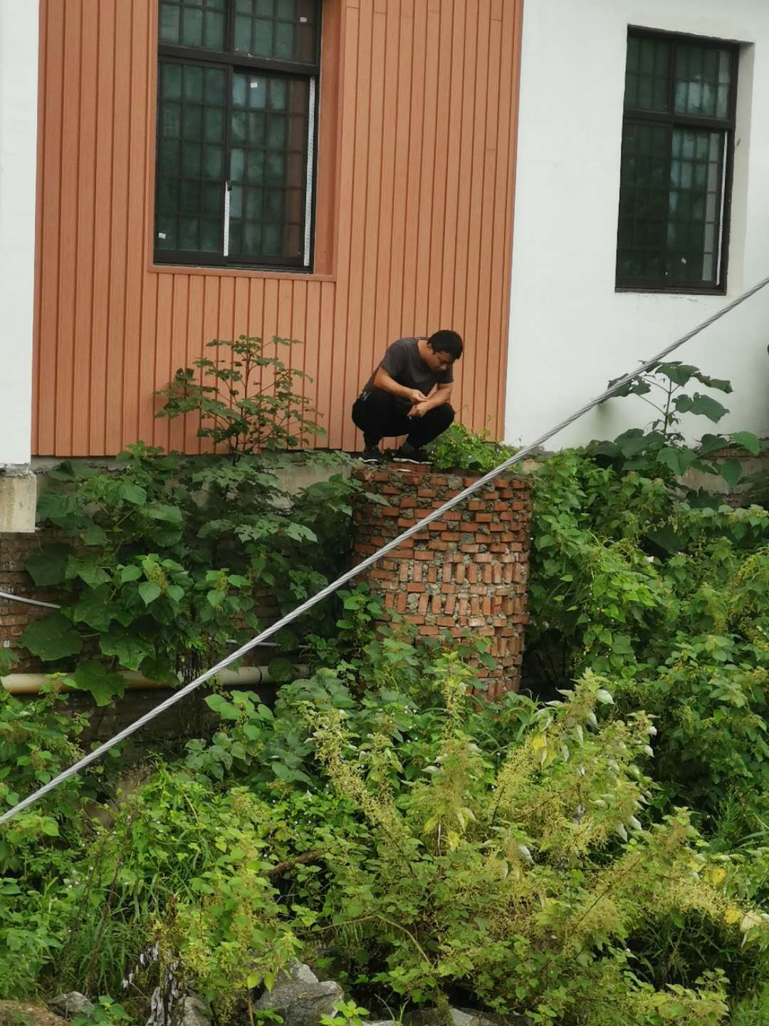 省生态环境保护督察“回头看” 工作简报（芦淞区）