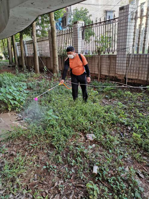 宋家桥街道开展秋季集中“除四害”行动