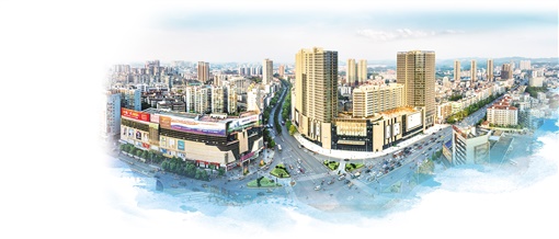 精准就业的荷塘路径——株洲市荷塘区精准施策稳就业取得实效