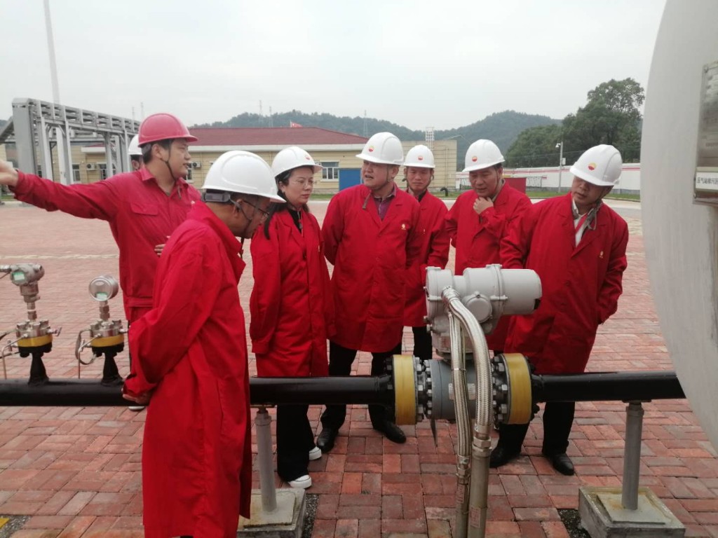 省能源局到我市开展油气管道保护执法检查