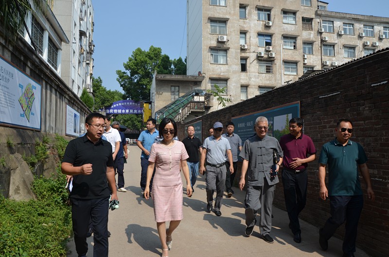 区政协对黑臭水体整治工作开展专项民主监督