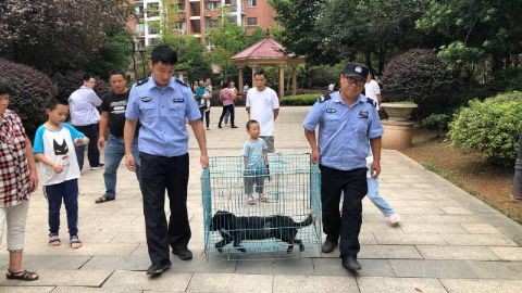 综管支队多措并举 助力文明城市迎检