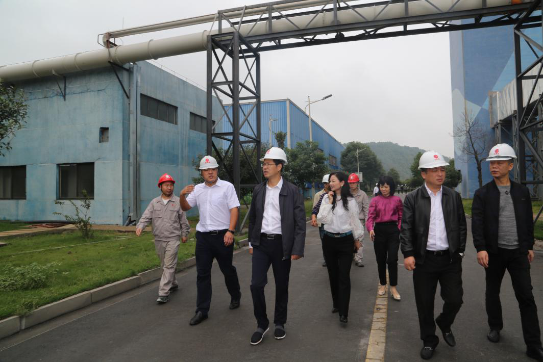 石峰区区委副书记、代区长邹志超督查生态环境问题整改进展情况