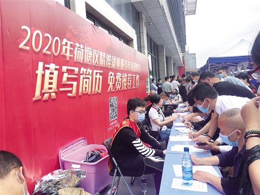 精准就业的荷塘路径——株洲市荷塘区精准施策稳就业取得实效