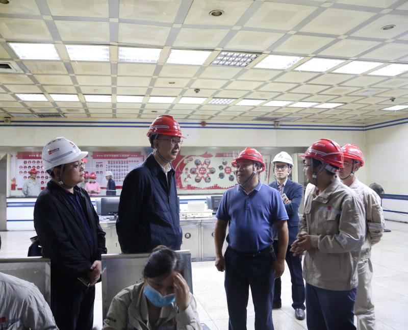 株洲市石峰区委书记张建勇现场督查省生态环境保护督察"回头看"问题整改工作