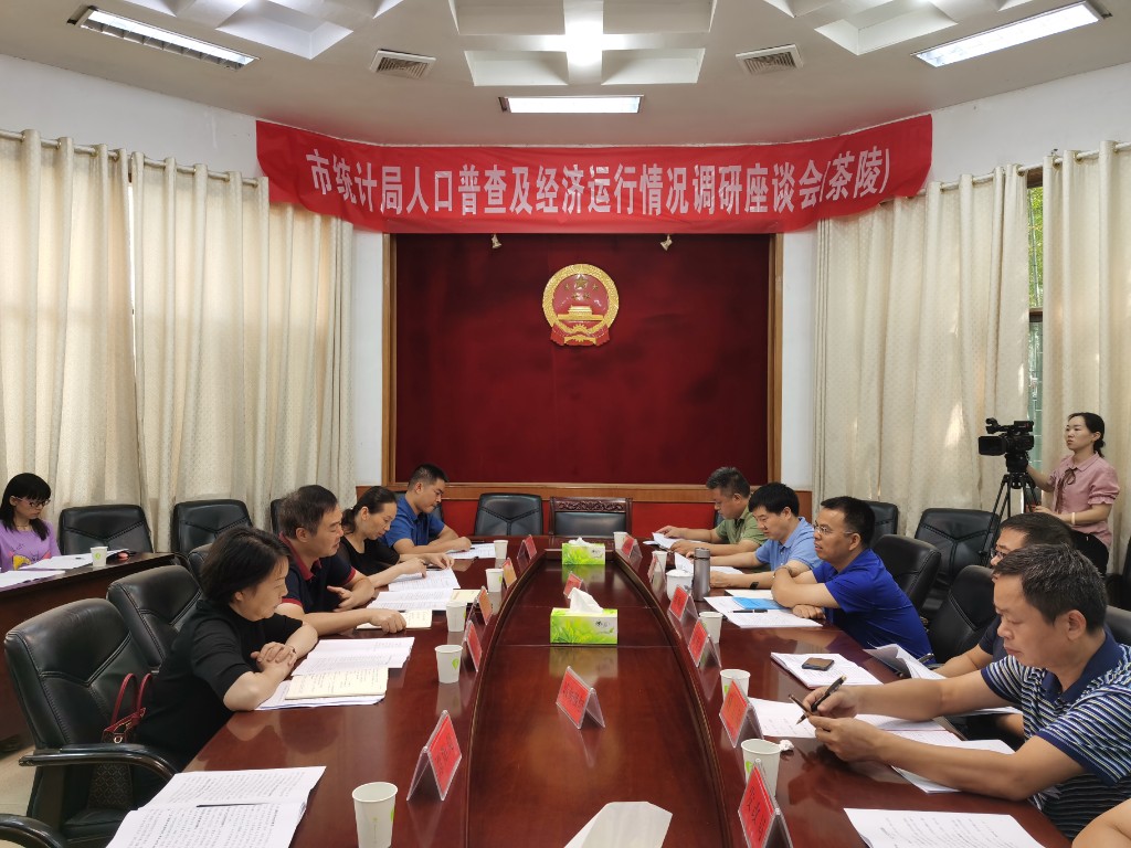 株洲市统计局兰军赴茶陵、炎陵调研当前经济形势及人口普查工作