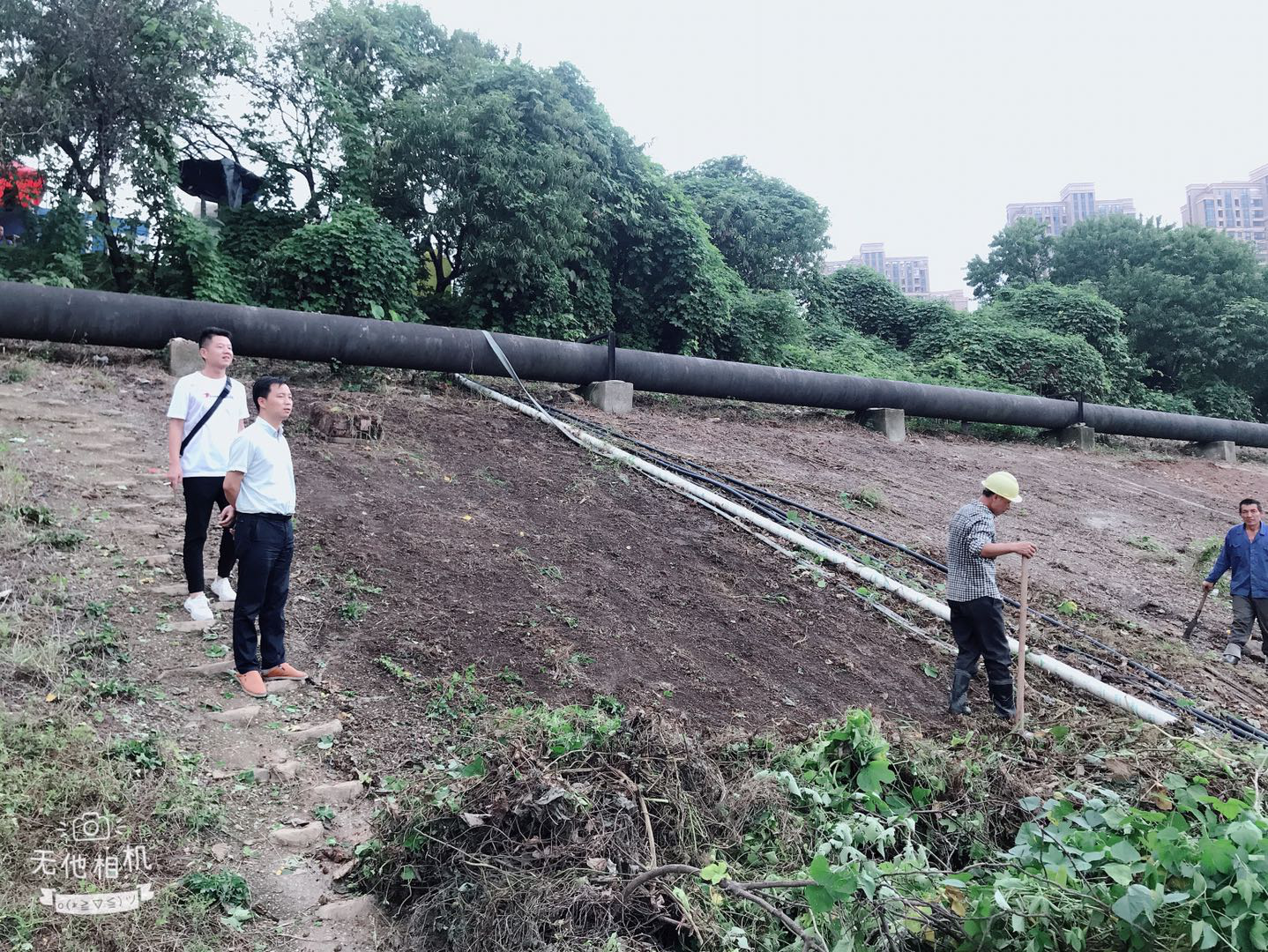 茨菇塘街道开展河道环境整治工作