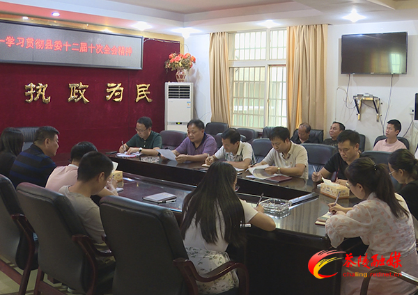 湖口镇掀起学习贯彻县委十二届十次全会精神的热潮