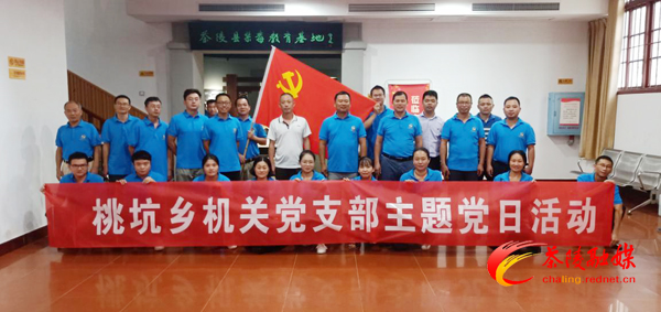 桃坑乡开展禁毒教育主题党日活动