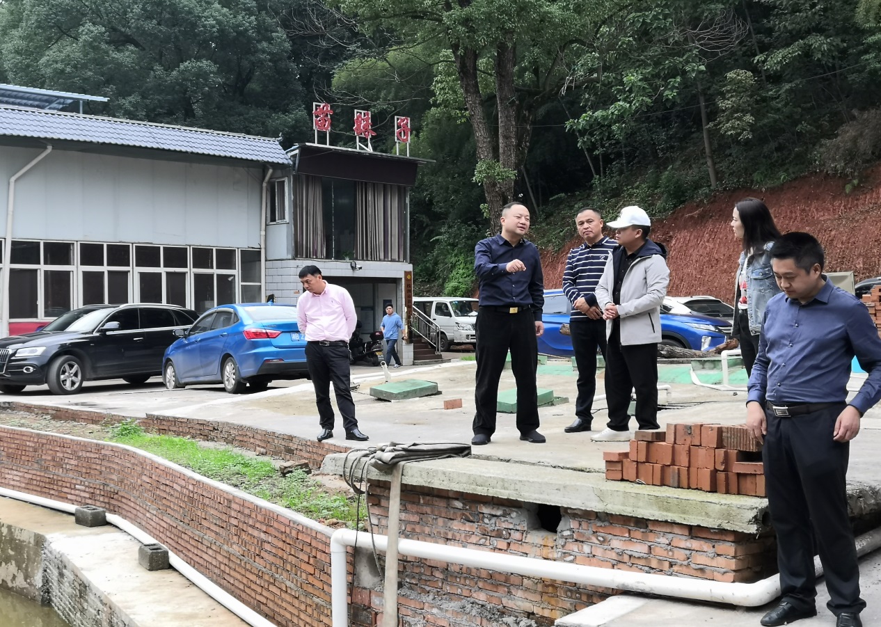 省生态环境保护督察“回头看” 工作简报