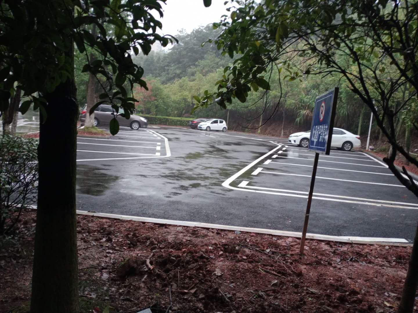 高新大厦停车位改造工作基本完成