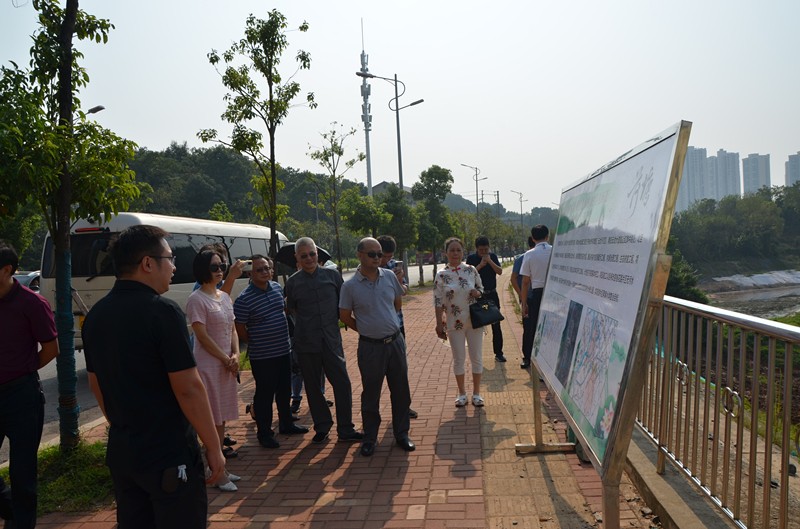 区政协对黑臭水体整治工作开展专项民主监督