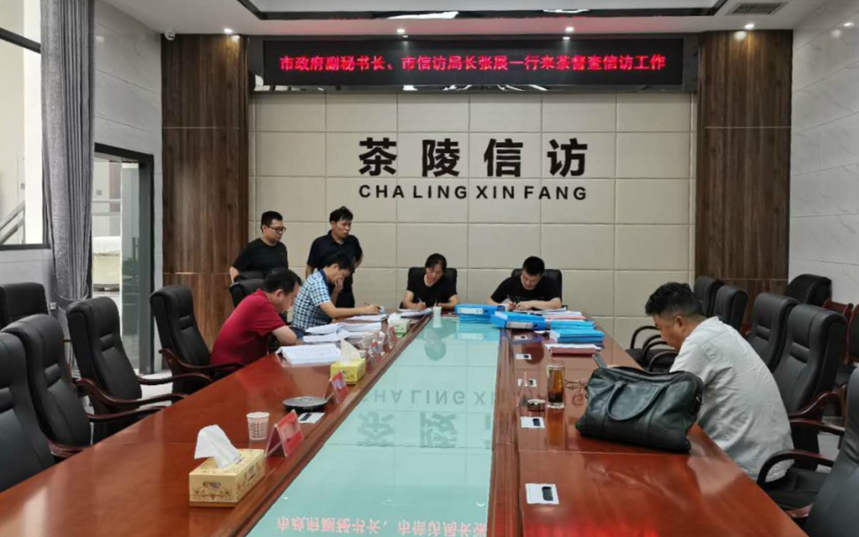 株洲市开展信访工作专项督查