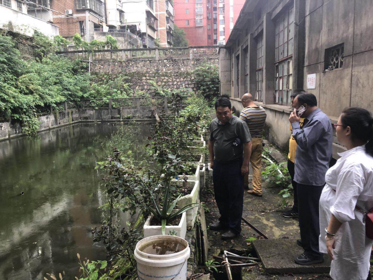 株洲市石峰区多部门协同办理生态环境督查组转办信访件