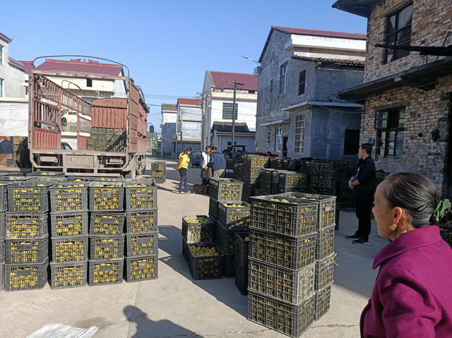 脱贫“先行官” 交通扛大旗 ——株洲市推进交通扶贫工作纪实（图）