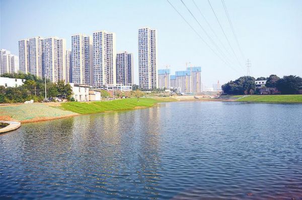 【决战一百天 消除黑臭水】今日再见东司塘 四周美景放眼量​