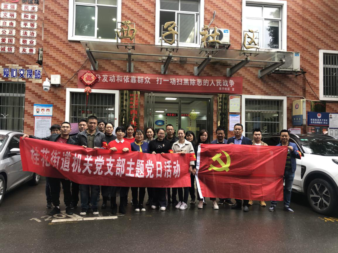 机关党员当先锋，助力人口普查工作