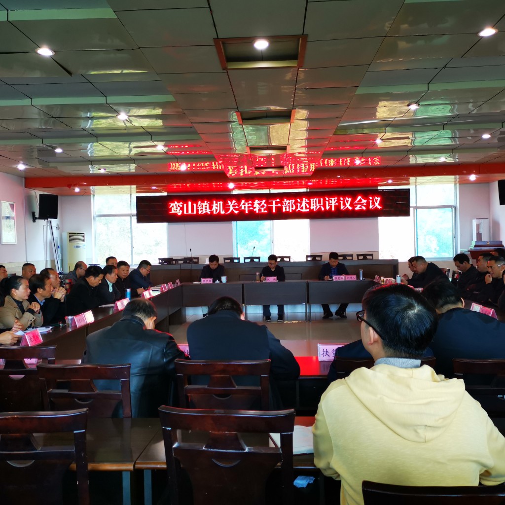 鸾山镇召开基层党组织书记、站办主任、机关年轻干部述职评议会议