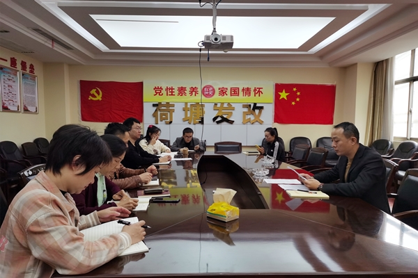 区发改局组织集中学习系列文件和专题讲座