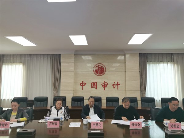 市人大常委会王建之一行调研“同级审”审计整改及专项资金绩效审计工作