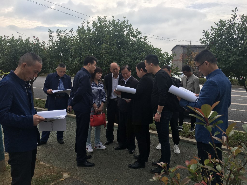 湖南师范大学基础教育发展中心主任一行到荷塘区调研合作办学履约情况