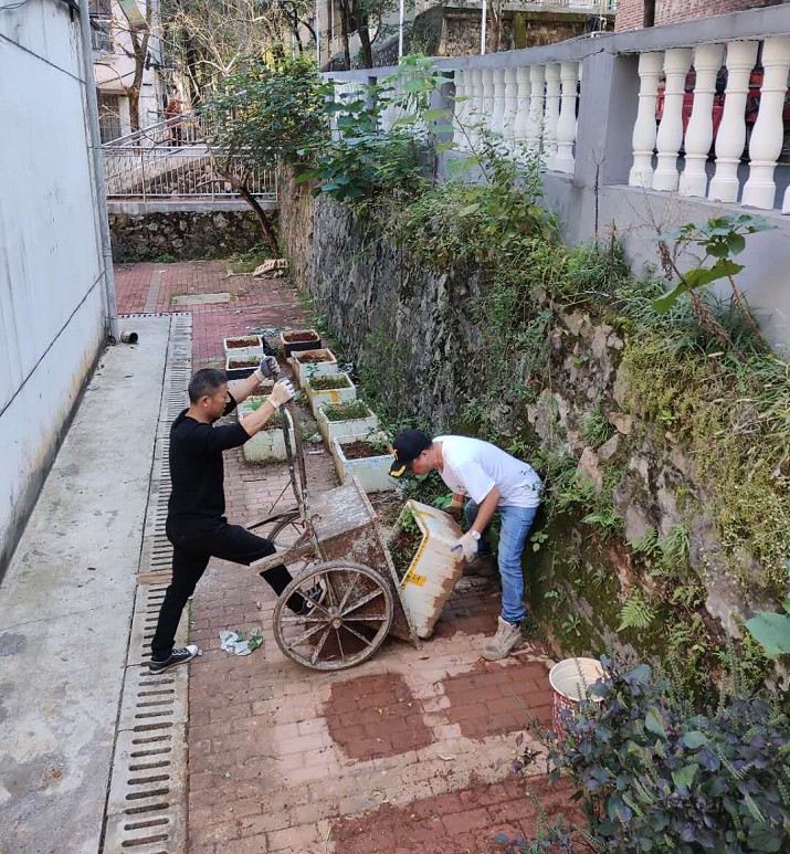 宋家桥街道开展小区违规种菜整治行动