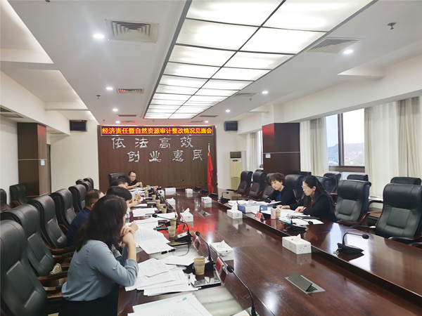 芦淞区迎接省厅审计整改“回头看”