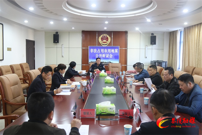 茶陵县人民检察院对非法占用农用地案召开公开审查听证会