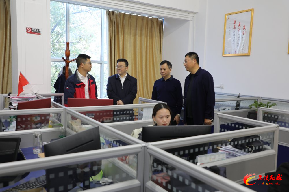 茶陵县召开庆祝第21个中国记者节座谈会