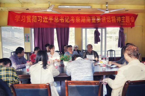 民建芦淞工委学习贯彻习近平总书记考察湖南重要讲话精神，开展“助力河长制 共建幸福河”主题活动