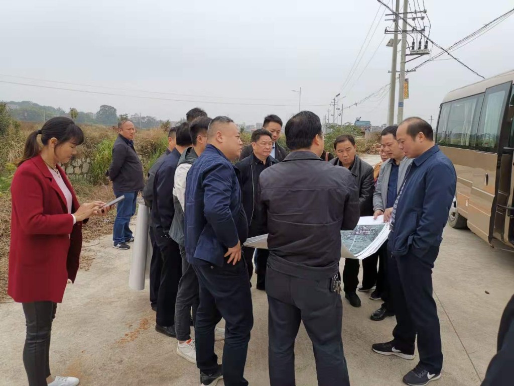 我市开展农村乱占耕地建房工作调研
