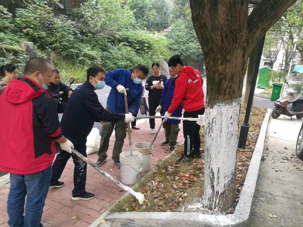 党员群众齐参与，美化环境都出力