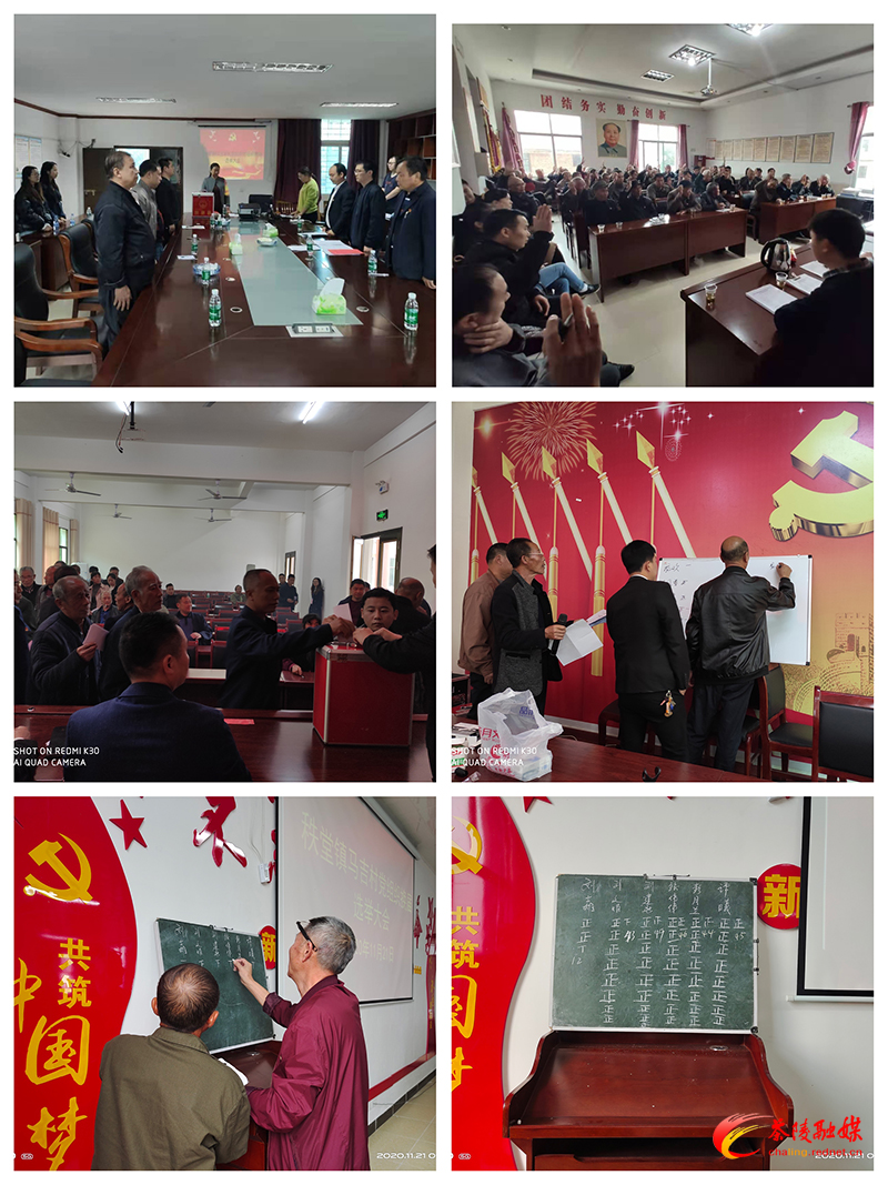 秩堂镇圆满完成村(社区)党组织换届选举工作